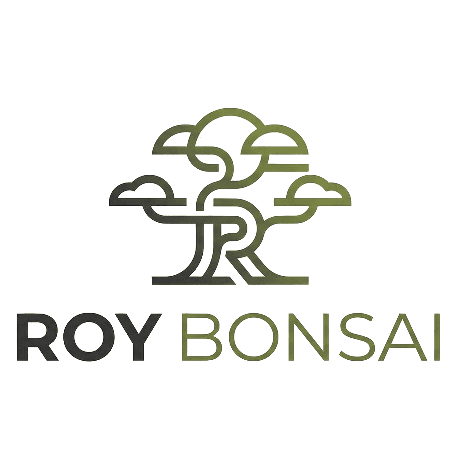 Roy Bonsai Logo